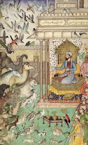 Re Salomone e gli animali da Indian School